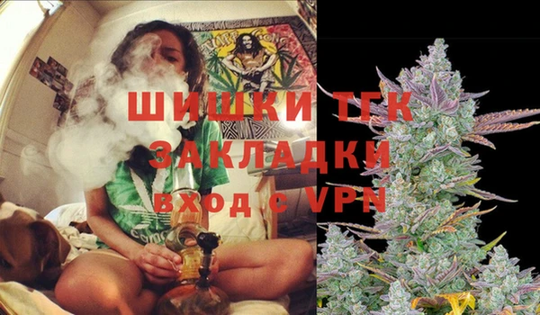 соль ск Алексин