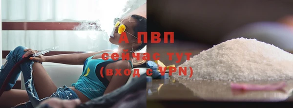 соль ск Алексин