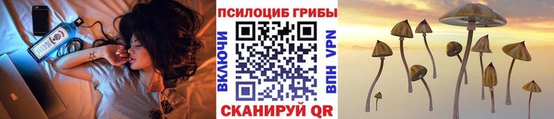Псилоцибиновые грибы ЛСД  где можно купить наркотик  Королёв 