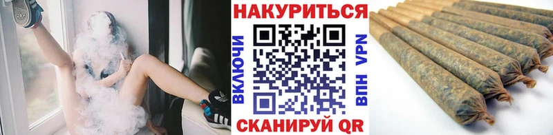 блэк спрут как войти  цена наркотик  Королёв  Канабис план 